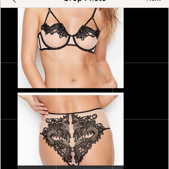 Victoria's Secret Other - VS Dragon Appliqué Balconet & Cheeky Set 36/34/M-NWT